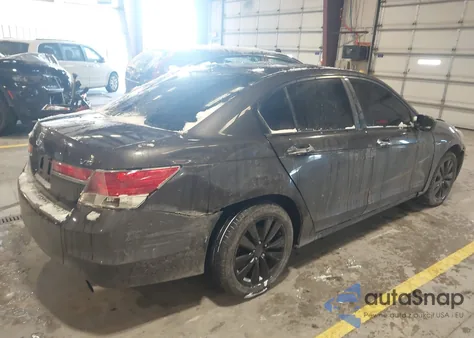 2011 Honda Accord 3.5 Ex-L из США, поврежденный, VIN 1HGCP3F80BA005222